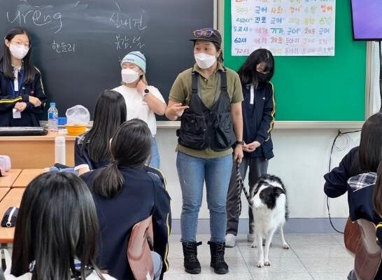 애견1